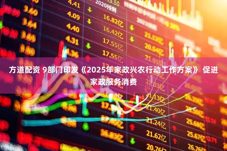 方道配资 9部门印发《2025年家政兴农行动工作方案》 促进家政服务消费